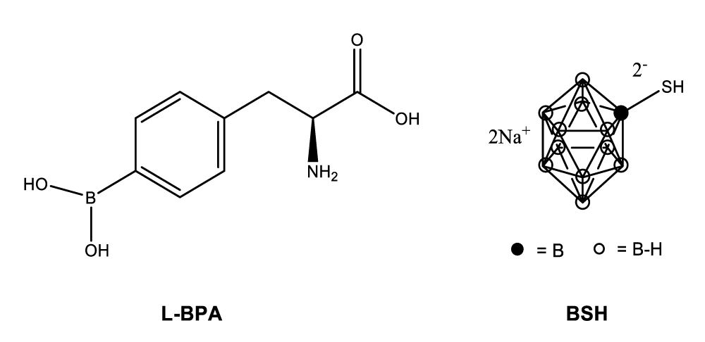 aac-aid1016-g001