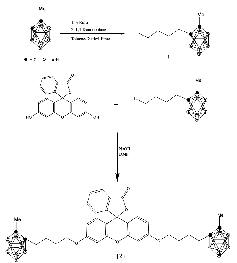 aac-aid1016-s001