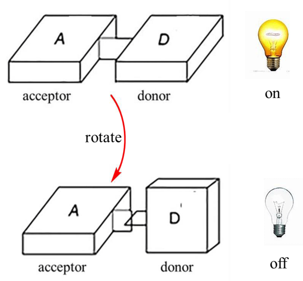 aac-aid1029-g001