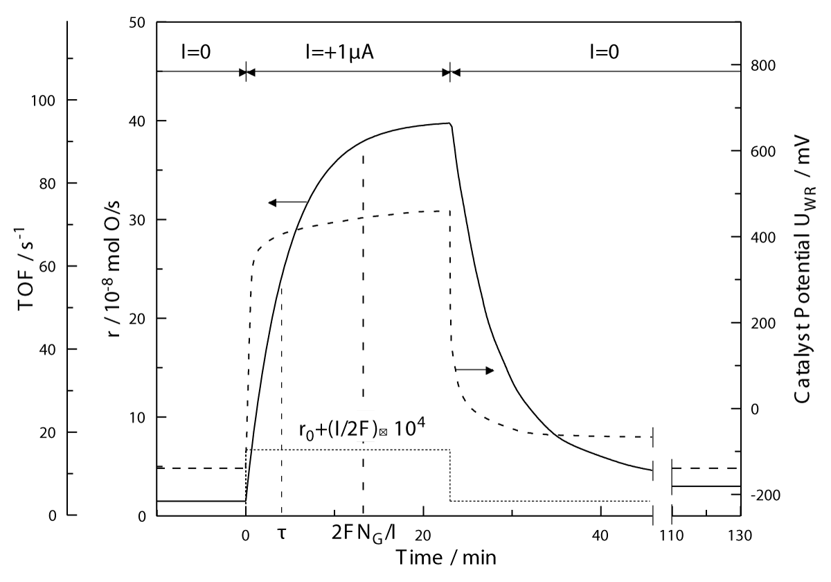 aac-aid1031-g004